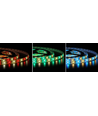 5 meter 12W/m RGB+WW LED-strip - 24V DC, IP20, 60 LED pr. meter