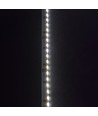 5m 11W/m Sidelys LED-strip - 24V DC, IP20, 120 LED pr. meter