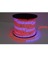 5m 12W/m RGBIC LED-strip - 230V, IP65, 60 LED pr. meter