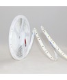 10m 12W/m LED-strip RA97 - 24V DC, IP20, 120 LED pr. meter
