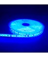 5m 10W/m Blå LED-strip - 24V DC, IP65, 120 LED pr. meter