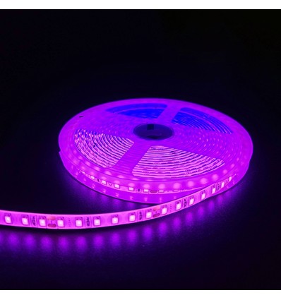 5m 10W/m Rosa LED-strip - 24V DC, IP65, 120 LED pr. meter