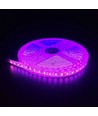5m 10W/m Rosa LED-strip - 24V DC, IP65, 120 LED pr. meter
