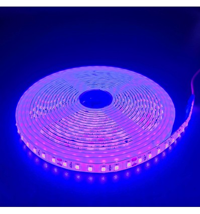 5m 10W/m Lilla LED-strip - 24V DC, IP65, 120 LED pr. meter