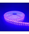 5m 10W/m Lilla LED-strip - 24V DC, IP65, 120 LED pr. meter