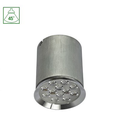 Chloe 12LED 12W - 230V, IP20, 45°, Varmhvit, Tak