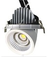 30W Kjøtt Downlight - Justerbar vinkel, spesiallys for kjøtt