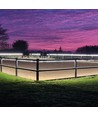 15m LEDlife ridebane strip på trommel - 230V, IP67, 180 LED/m, 11W/m, 1100 lm/m