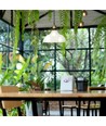 Ø24,5cm E27 pendel i glass - Transparent, max 60W, 110cm høyde, metallbase