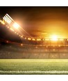 500W LED Sports lyskaster, 135lm/W - Samsung LED chip, Meanwell driver, IP65, dimbar, 5000K