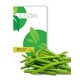 Outlet: Bushbeans Blackseeded Delinel