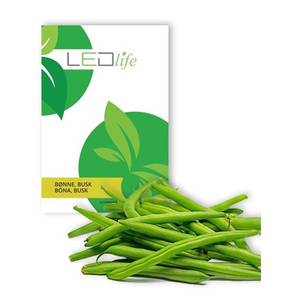 Outlet: Bushbeans Blackseeded Delinel