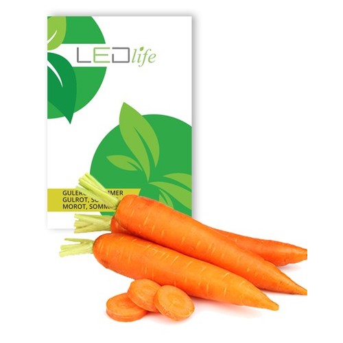 Outlet: Carrot Nantes 2