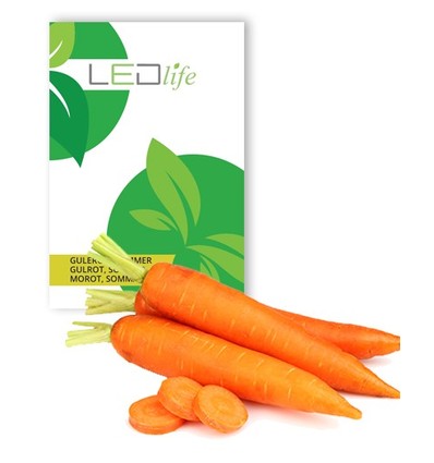 Outlet: Carrot Nantes 2