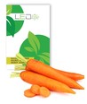 Outlet: Carrot Nantes 2