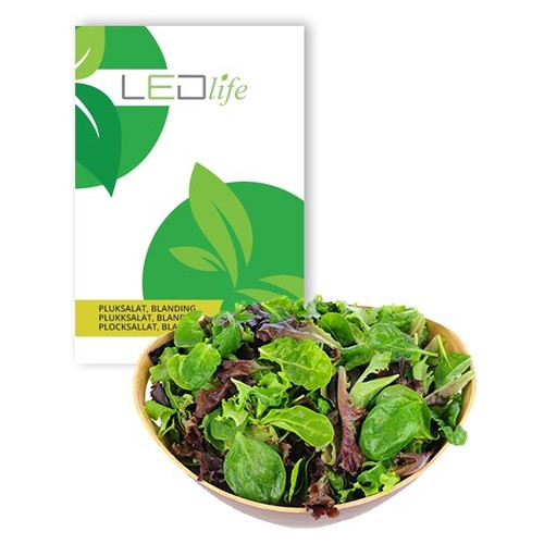 Outlet: Baby Leaf lettuce mixture