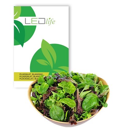 Outlet: Baby Leaf lettuce mixture