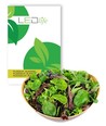 Outlet: Baby Leaf lettuce mixture