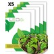 5 ps. Plukksalat frø - Baby Leaf blanding
