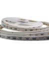 5m RGB+CCT 24W/m LED stripe - RGB+2700-6500K, IP65, 24V