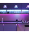 5m RGB+CCT 24W/m LED stripe - RGB+2700-6500K, IP65, 24V