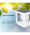 2W Solara LED bedlampe med sensor - IP65, 3000K, hvit, solcelle, 3 års garanti