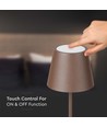 LED-lampe 4W - 4400mA batteri, 3000K, IP54, Corten hylster