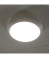 320mm 8W/16W/20W LED bulkhead - Samsung LED chip, IP65, IK08, 3-i-1 CCT, rund, hvit kant