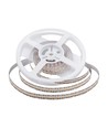 5m 21W/m LED strip, RA90 - 24V, 700 LED pr. meter, 6400K, IP20, SMD 2110