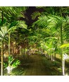 12W LED hagespot med spyd - IP65, Grønt lys, hvitt kabinett, aluminium