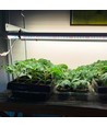 LEDlife Pro-Grow 2.0 Vekst sett - 2 x 120cm, 36W LED, fullt lysspektrum, IP65