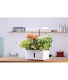 LEDlife hydroponisk kjøkkenhage - Hvit, inkl. vekstlys, 10 plasser, timer, 2,8L vanntank