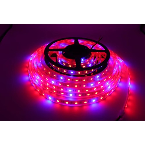 8,5W/m vanntett vekst LED-stripe - 5m, 60 LED per meter, 24V DC, IP65