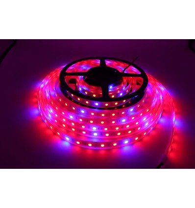 8,5W/m vanntett vekst LED-stripe - 5m, 60 LED per meter, 24V DC, IP65