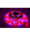 8,5W/m vanntett vekst LED-stripe - 5m, 60 LED per meter, 24V DC, IP65