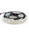 12W/m RGB+WW LED strip - 5 meter, IP65, 60 LED per meter, 24V