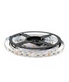 5 meter 12W/m RGB+WW LED-strip - 24V DC, IP20, 60 LED pr. meter