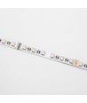 12W/m RGB+WW LED strip - 5 meter, IP20, 60 LED per meter, 24V
