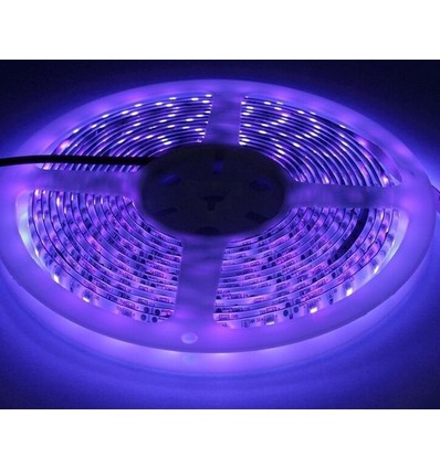 5m 10W/m UV 400 nm LED-strip - 24V DC, IP20, 120 LED pr. meter