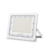 100W LED lyskaster - 5000K, IP65, IK07, 90° spredning, utendørs