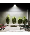50W LED lyskaster med sensor - 130lm/W, IP65, 5000K, grå, utendørs, arbeidslampe