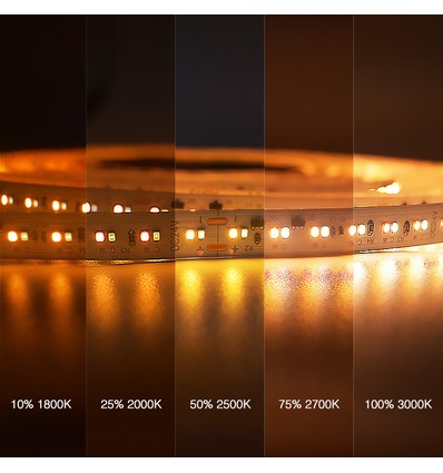 5m 17W/m DimToWarm LED-strip RA95 - 24V, IP20, 224 LED pr. meter
