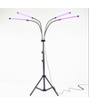 LEDlife vekstlys med stativ - Svart, 4 lamper, justerbar høyde, fleksible armer