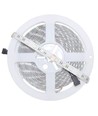 5 meter 12W/m RGB+WW LED-strip - 24V DC, IP65, 60 LED pr. meter