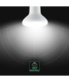 E27 10W R80 LED pære - Samsung LED chip, 800lm, 120 grader, kald hvit