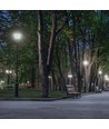 LED PARISIENNE PREMIUM COG 20W E-27 NW MATT SPECTRUM