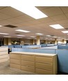 120x30 LED-panel, 40W - 120lm/W, CREE-chip, 6 års garanti, hvit kant