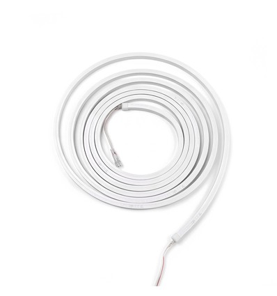 5m 16W/m RGBIC Neon Flex strip - 24V DC, IP20, 96 LED pr. meter, 8x16