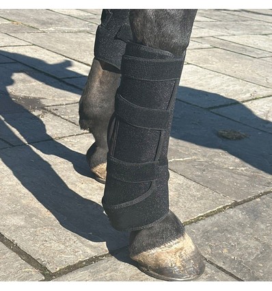 Lysterapi-pad til hest - Infrarødt og rødt lys, batteri, powerbank inkludert