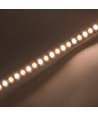 20m 8,5W/m CCT LED-strip RA93 - 24V DC, IP20, 192 LED pr. meter
